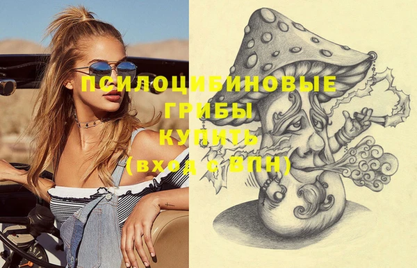 прущие крисы Абинск
