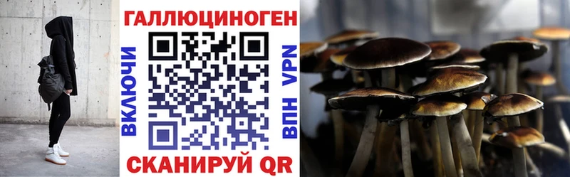 Галлюциногенные грибы Cubensis  где купить наркотик  shop наркотические препараты  Симферополь 