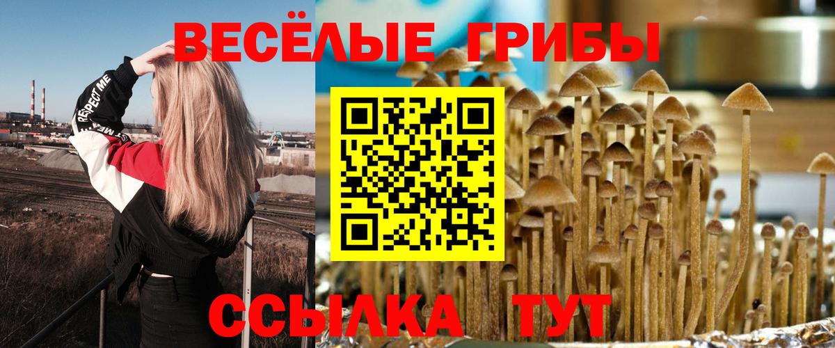 Псилоцибиновые грибы MAGIC MUSHROOMS Симферополь